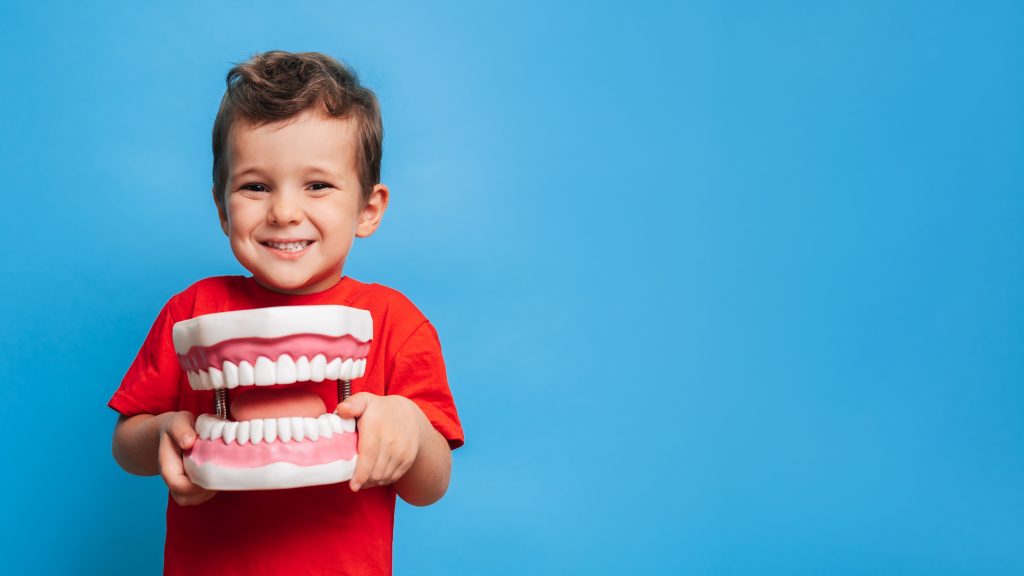 Young boy standing holding a large set of fake teeth in front of a blue background.